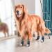 SCENEREAL Double Side Anti-Slip Dog Socks 6-Pack - I Love Dog Pattern, Adjustable Strap, Traction Control - Indoor Paw Protector for Hardwood Floors - Buy Online on GoSupps.com