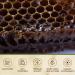 ONEROOT Canadian Raw Buckwheat Honey | Higher in Antioxidants Than Manuka (1 kg) 1 kg (Pack of 1) - Buy Online on GoSupps.com