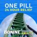 Bonine Chewable Tablets - Raspberry Flavor (64 Tablets) | Fast-Acting Relief - Buy Online on GoSupps.com