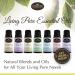 1 Respiratory Essential Oil Blend - Allergy Relief Congestion Support & Organic Aromatherapy - 15ml - Buy Online on GoSupps.com