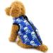 Shop Pegasus Winter Coat for Dogs & Cats | Warm Windproof Jackets for Chihuahua Dachshund & Puppies - Blue Skull Design - Buy Online on GoSupps.com