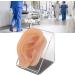 Ear Model Silicone Simulated Ear Model Ear Model with Display Stand Acupuncture Practice Tool for Piercing Display - Buy Online on GoSupps.com