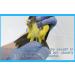 Avian DNA Sexing Kit for Parrots, Macaws, Lovebirds & More (+300 Psittacines) - Gender Reveal Test Card - Buy Online on GoSupps.com