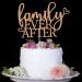QXQXBA Family Ever After Cake Topper Happy Adoption Day Party Supplies The Day I Got You Party Decoration Forever Family Party Decor Rose Gold Glitter - Buy Online on GoSupps.com