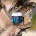 After Sun Lotion with Aloe - Natural Vegan Moisturizer for Sunburn Relief - Cooling Hydration with Coconut Oil & Hemp - Life Leaf 2 Oz - Buy Online on GoSupps.com