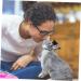 Balacoo 8 Pcs Pet Graduation Cap Bunny Costume Pet Grad Costume Mini Rabbit Graduation Cap Clothing Props 5.5X5.5X3.5CMx2pcs As Shownx2pcs - Buy Online on GoSupps.com