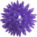 5 Set Spike Massage Balls - Exercise Foot Massage for Back Hands & Feet - Purple 6cm - Buy Online on GoSupps.com