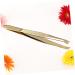 Tweezers Eyelashes Extension Clip Eyebrow Clip Flat Extend medium Golden - Buy Online on GoSupps.com