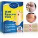 24Pcs WartRemover Pads Foot Corn Removal Plaster with Hole Penetrates and Removes Common and Plantar Warts 2023 New Warts Off Removal Pads for All Skin Types - Buy Online on GoSupps.com