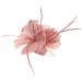Lurrose Flower Hair Clip Large Mesh Rose Hair Pins Vintage Wedding Brooch Tea Party Hair Accessories for Women (Nude Pink) - Buy Online on GoSupps.com