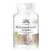 Kidney beans extract with chrome - green coffee and Bockshorn clover - 120 capsules |Herbadirekt by Warnke Vital substances - German pharmacy quality