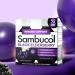 Sambucol Black Elderberry Syrup 2-Pack - Immune Support Liquid with High Antioxidants - Gluten Free - 7.8 Fl Oz x 2 - Buy Online on GoSupps.com