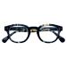 Zippo reading glasses 2.50 31Z-Pr72-250