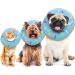 Xinzistar Soft Cat Protective Collar - Adjustable Anti-Bite Safety Collar for Cats Dogs and Kittens (Blue Donut XS) - Buy Online on GoSupps.com