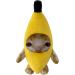 Cute Banana Cat Plush Funny Banana Cat Plush Banana Stuffed Animals Toy Soft Cat Meme Plush Stuffed Toy Banana Cat Plushie Happy Cat Doll Stuffed Toy for Home Decoration Children's Birthday Gifts - Buy Online on GoSupps.com