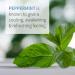 Garden of Life Organic Peppermint Essential Oil 1 fl oz - Pure, Undiluted, Non-GMO for Diffuser & Aromatherapy - Buy Online on GoSupps.com