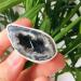 Specimen Natural Rough Small Agate Quartz Geodes 1pc ZJGIDTEM - Buy Online on GoSupps.com
