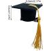 Neamou Graduation Hat Headband - 3D Doctoral Hat Hair Clip Headband Graduation Hat Inserts Graduation Dress up Photo Decoration Supplies for Women Men Yellow - Buy Online on GoSupps.com