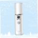Beavorty Mini Face Spray Instruments 1pc Nano Mist Sprayer Nano Facial Mister Steamer Eyelash Extensions Cold Spray Hydrating Instrument White Mist Sprayer 11.5*3cm White - Buy Online on GoSupps.com