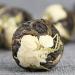 HELLOYOUNG 500g Th Pu'er au jasmin naturel chinois Dragon Pearl Aliment vert biologique pr sentant un go t fort mais doux Th pu-erh Pu'er Tea - Buy Online on GoSupps.com
