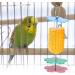 Fruit Holder for Parrots - Spit Fruit & Vegetable Skewers for Birds | Ideal for Budgies Nymphs & More - Buy Online on GoSupps.com