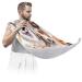 Animal Dog Painting Beard Bib Apron Beard Bib Hair Catcher for Men Shaving and Trimming Non-Stick Waterproof Beard Cape Grooming Cloth with 2 Suction Cups Gifts for Men