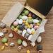 Lavolio Giftwrapped Nutty Forest Confectionery Gift Tin (175g) - Premium Selection of Covered Nuts and Luxury Chocolate Sweets Perfect Present for Him or Her. - Buy Online on GoSupps.com