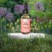 Lavender & Rose Body Oil - Deep Hydration for Radiant Skin Soothing Aroma Perfect for All Skins - 2oz - Buy Online on GoSupps.com