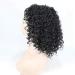 BGHJUE Lace Front Wigs - Natural Curly Human Hair Wig with Baby Hair | 38cm Black | International Shipping - Buy Online on GoSupps.com