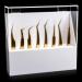 Noverlife 8-Slot Eyelash Tweezer Holder | Acrylic Lash Tweezer Storage Case with Dust-proof Cover | Organizer Stand for Salon & Home - Buy Online on GoSupps.com