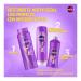 Sedal Liso Perfecto con Prote na Hidrolizada 300ml - SEALED - 10.14 Fl Oz (Pack of 1) - Buy Online on GoSupps.com