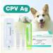 Yanzeo 10 Tests Canine Parvovirus Test Kit - CPV Rapid Home Test for Dogs | Veterinary Clinics | 10-Pack - Buy Online on GoSupps.com