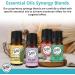 Wild Essentials Focus 100% Pure Essential Oil Synergy Blend - 10ml Therapeutic Grade for Mental Clarity Study & Work - USA Made - Buy Online on GoSupps.com