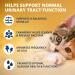 Urinary Tract Support Soft Chews for Cats by Under the Weather - Buy Online on GoSupps.com