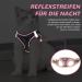 Reflective Cat Dishes with Leash - Adjustable Breakout-Proof Tableware Set for Cats & Small Dogs (Pink-Small) - Buy Online on GoSupps.com