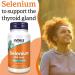 Now Foods Selenium 200mcg 90 Vegan Capsules - Lab-Tested Trace Element - Gluten Free - SOYA Free - Vegetarian - Buy Online on GoSupps.com