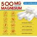10-in-1 Magnesium Complex Supplement Magnesium Glycinate 500mg with Citrate & Malate Chelated High Absorption Plus Vitamin D3 & Zinc - for Nerve Muscle & Bone Support - 120 Capsules 120 Count (Pack of 1) - Buy Online on GoSupps.com