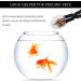 3 Pack Reptile Feeding Clips Reptile Feeding Tools Amphibian Feeding Clips Pet Plastic Feeding Clips for Hamsters Lizards Spiders Bearded Dragons (Black) - Buy Online on GoSupps.com