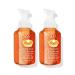 Bath & Body Works Bath and Body Works Coconut Pumpkin Latte Gentle Foaming Hand Soap 8.75 Ounce 2-Pack (Coconut Latte) 1.67 pounds 17.5 fluid_ounces Coconut Pumpkin Latte 8.75 Ounce