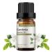 GREENSLEEVES Gardenia Essential Oil 10ml, 100% Pure Fragrance Oil