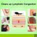 GreenHB Herbal Lymph Care Patch 10 Pcs - Neck Lymphatic Drainage Patch with Ginger Oil for Swelling & Pain Relief - Buy Online on GoSupps.com