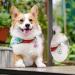 JATEBI 2 Pack Engraved Pet Tags for Dogs and Cats - Sparkly Round Paw Print ID Tags with Custom Engraving - Easy to Read and Durable - Rosy - Buy Online on GoSupps.com