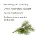 Buy Plant Therapy Scots Pine Essential Oil 10 mL - 100% Pure Undiluted Therapeutic Grade for Aromatherapy & Wellness | International Shipping Available - Buy Online on GoSupps.com