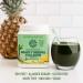 Sunwarrior Beauty Greens Collagen Booster - Pina Colada Flavor (10.58 oz) | Boost Your Skin - Buy Online on GoSupps.com