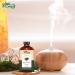 Agarwood Oil | Pure Aquilaria Malaccensis Essential Oil for Skincare & Aromatherapy - 118ml/3.99fl oz - Buy Online on GoSupps.com