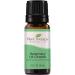 Plant Therapy Rosemary Essential Oil 100% Pure, Undiluted, Natural Aromatherapy, Therapeutic Grade 10 mL (1/3 oz) Rosemary 0.33 Fl Oz (Pack of 1)