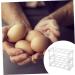 GLEAVI 2pcs Egg Grid Eggs Plastic to Go Containers Egg Organizer Plastic Egg Holder Dispenser Refrigerator Transparentx2pcs 22.3X16.2X10.1CMx2pcs - Buy Online on GoSupps.com