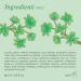 L'Erbolario Jade Plant - Notes Of Bergamot Jade Flower And Lemon - Floral Fragrance For Women - Reflects Radiance - Offers Charm And Positive Energy - Long Lasting Wear - 1.6 Oz EDP Spray - Buy Online on GoSupps.com