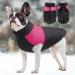 Femax Waterproof Dog Coat - Warm Winter Jacket for Small to Large Dogs | Pink XL Padded Vest for Cold Weather - Buy Online on GoSupps.com