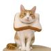 Mayumay adjustable collar sweet necker after the operation wound healing protective cone for recovery of elisabethan collars soft edge for kitten and cats bread average size